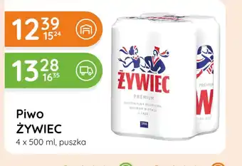 Piwo Żywiec