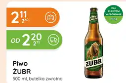 Eurocash Cash & Carry Piwo Żubr oferta