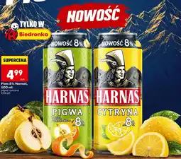 Biedronka Pigwa Harnaś oferta