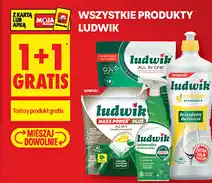 Biedronka Produkty Ludwik oferta