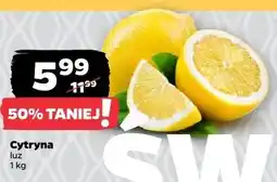 Netto Cytryna luz oferta