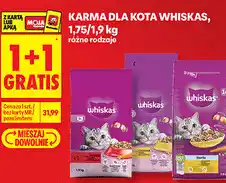 Biedronka Karma dla kota Whiskas oferta