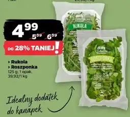 Netto Rukola / Roszponka z Zieleniaka oferta