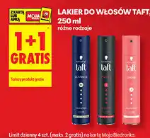 Biedronka Lakier do włosów Taft oferta