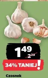 Netto Czosnek oferta