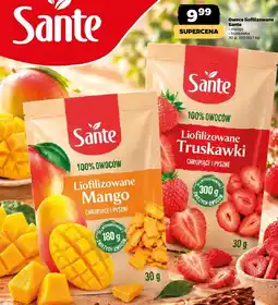 Netto Owoce liofilizowane Sante oferta