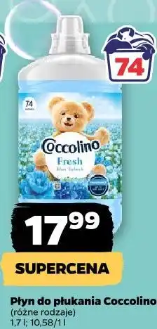 Netto Płyn do płukania Coccolino oferta