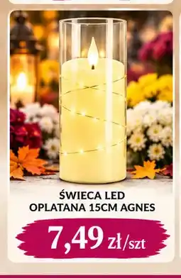 EMMA market Świeca LED oplatana 15 cm Agnes oferta