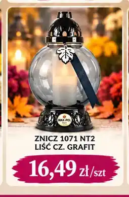 EMMA market Znicz 1071 NT2 liść cz. grafit Max-Pol oferta