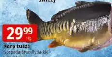 E.Leclerc Karp tusza Gospodarstwo Rybackie Samoklęski oferta