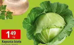 E.Leclerc Kapusta biała oferta