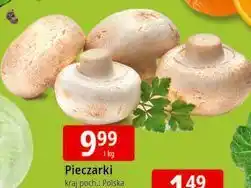 E.Leclerc Pieczarki oferta