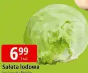 E.Leclerc Sałata lodowa oferta