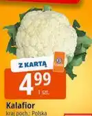 E.Leclerc Kalafior kraj poch.: Polska oferta
