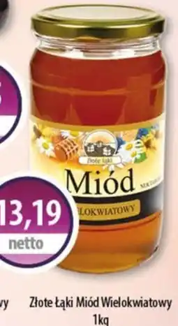 DUO-TES Złote Łąki Miód Wielokwiatowy oferta