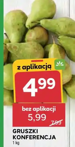 Stokrotka Gruszki konferencja oferta