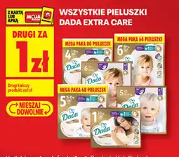 Biedronka Pieluszki Dada oferta