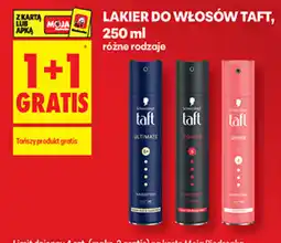 Biedronka Lakier do włosów Taft oferta