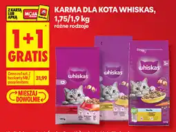 Biedronka Karma dla kota Whiskas oferta