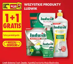 Biedronka Ludwik oferta