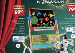 Biedronka EleFun Tablica magnetyczno-kredowa oferta