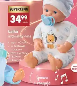 Biedronka Lalka interaktywna Ele Fun oferta