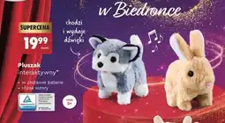 Biedronka Pluszak oferta