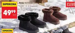 Biedronka Buty damskie Clevé oferta
