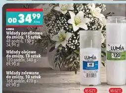 Biedronka Wkłady do zniczy Lumia oferta
