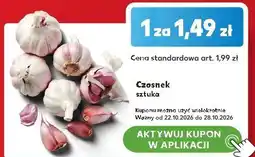 Kaufland Czosnek sztuka oferta