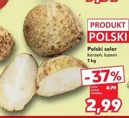 Kaufland Polski seler korzeń, luzem oferta