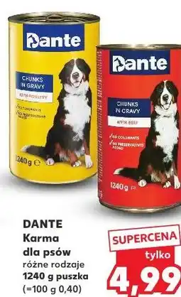 Kaufland Dante Karma dla psów różne rodzaje oferta