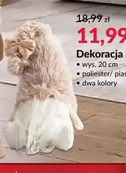 Agata Meble Dekoracja skrzat oferta