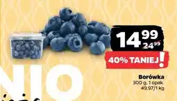 Netto Borówka oferta