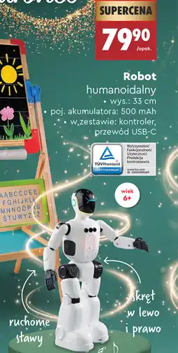 Biedronka Robot humanoidny oferta