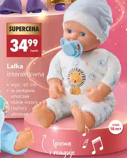 Biedronka Lalka interaktywna oferta