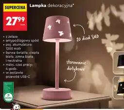 Biedronka Lampka dekoracyjna oferta