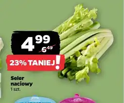 Netto Seler naciowy oferta
