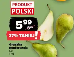 Netto Gruszka Konferencja oferta