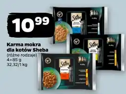 Netto Karma mokra dla kotów Sheba oferta