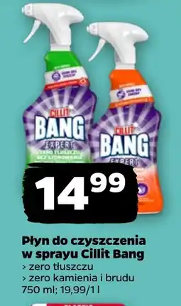 Netto Płyn do czyszczenia w sprayu Cillit Bang oferta