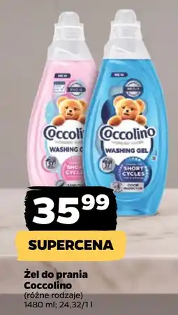 Netto Żel do prania Coccolino oferta