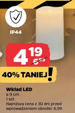 Netto Wkład LED oferta