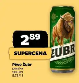 Netto Piwo Żubr oferta