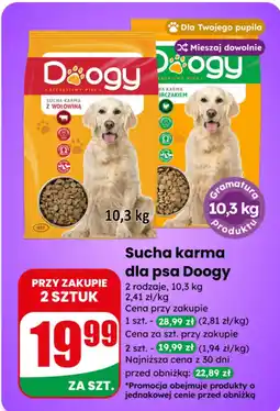 Dino Sucha karma dla psa Doogy oferta