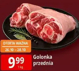 E.Leclerc Golonka przednia oferta