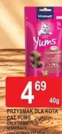 E.Leclerc Przysmak dla kota Cat Yums Vitakraft oferta