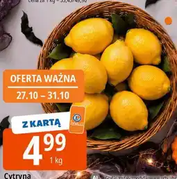 E.Leclerc Cytryna oferta