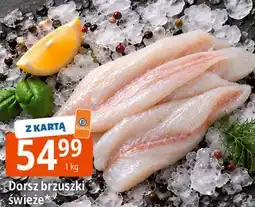 E.Leclerc Dorsz brzuszki świeże oferta