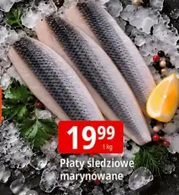 E.Leclerc Płaty śledziowe marynowane oferta